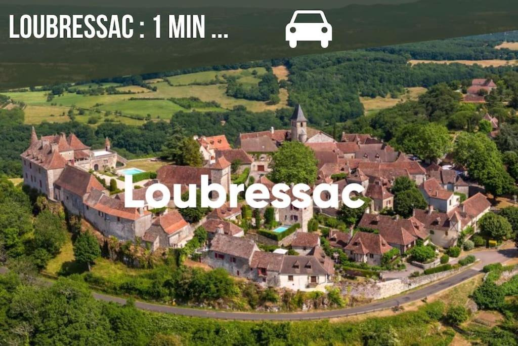 La Sagnarde, Maison En Pierre, Loubressac Exterior foto